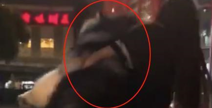 地上太湿，主人直接上手扛，路人纷纷捂嘴笑，狗：我不要面子啊？
