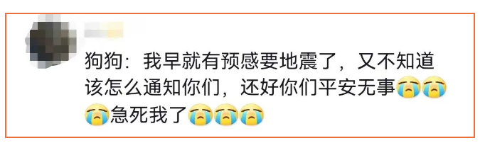 甘肃地震后，学生们在惊吓中却先安慰被吓哭的狗学长：别怕，我们保护你！