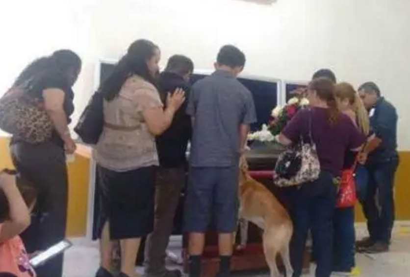 爷爷病逝后，狗狗离家出走，穿越30公里出现在主人的葬礼上道别 