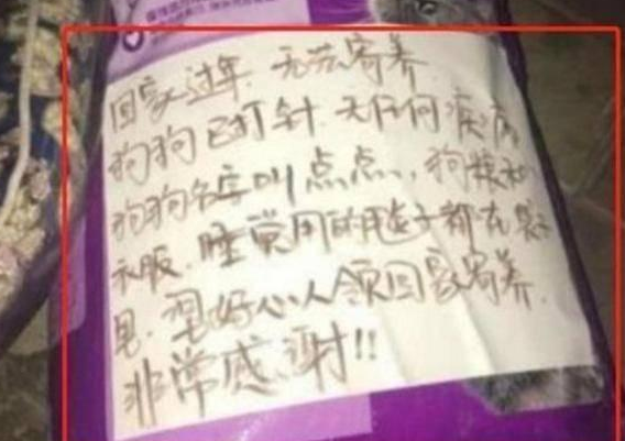 泰迪被遗弃街头, 坐在路口等了主人一天一夜, 旁边的纸条引人落泪