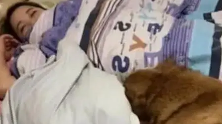 男主人加班很晚回家，推开门一看气坏了，金毛：这个女人是我的