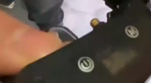 萨摩耶被长期虐待，遭砍伤后流浪了4天，脖子上还戴着电击项圈