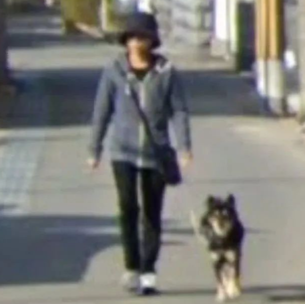 离世2个月的狗狗却出现在主人的婚礼现场…太好哭了！
