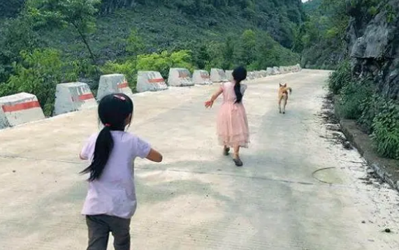 大黄狗每天都守在校门口不肯离开，老师上前一看热泪盈眶