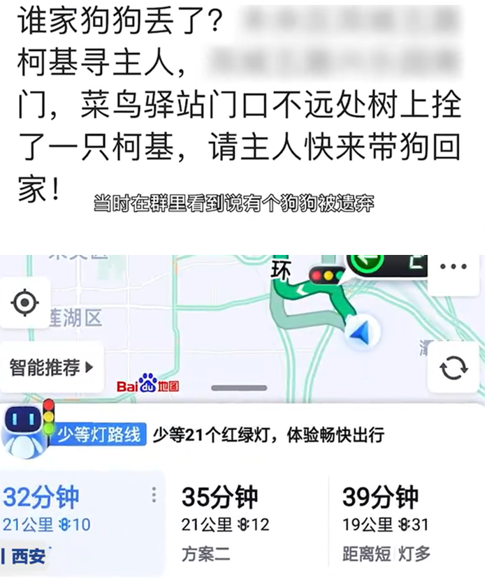 男子驱车40多公里救助被遗弃的柯基，当事人：它瘫痪了，只能再活三五年，会照顾好它