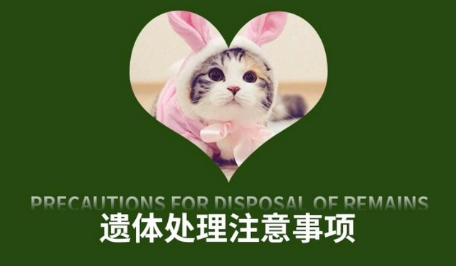 宠物火化殡葬服务分析