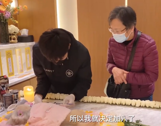 中国宠物殡葬行业概况