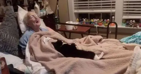 带爱猫看望重病住院的奶奶，猫咪做出的反应令人泪如泉涌