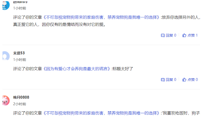 边牧的两地生活，两个主人两个家庭，它自己的选择，你们羡慕吗