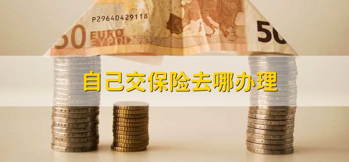 自己交保险去哪办理，当地的社保局