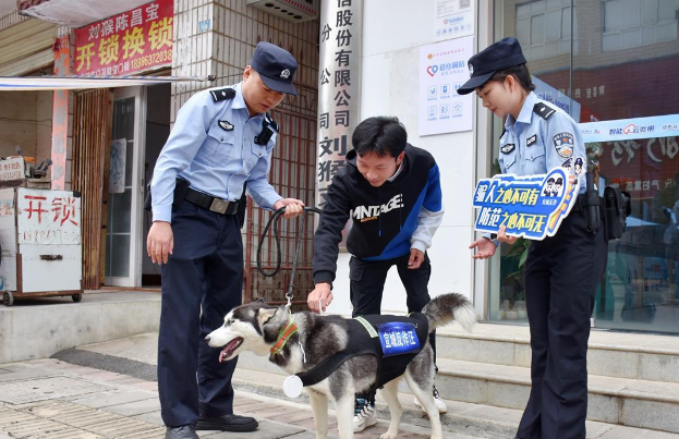 迷路哈士奇被送到派出所，变身“反诈汪”成“团宠”