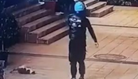外卖骑手当街虐猫，被平台永久封号：总的来说、一笔糊涂账