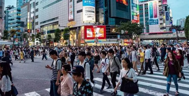 日本宠物数量超过儿童人数，几乎见不到流浪狗，弃养“违法”