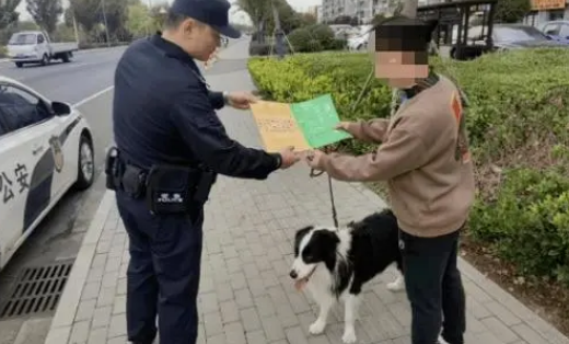 关于天津开展文明养犬执法检查，网友表示：坚决支持天津治理狗患 