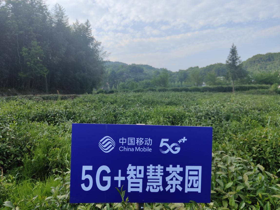 河南移动