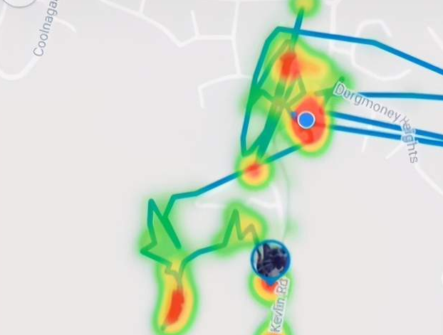 主人给猫咪戴GPS，意外发现它还有5个家！猫界时间管理大师