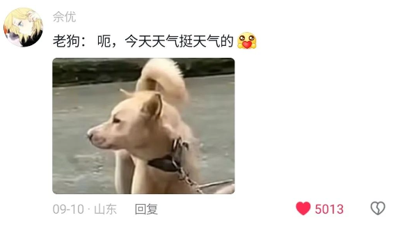 网友回老家被新狗狂吠，旁边的老狗尬得1秒10个假动作：下属把老板堵门口了，咋整？
