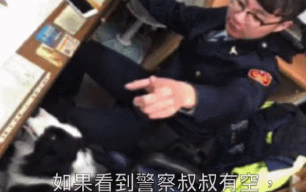 狗狗到警察局冒充“公务犬”，偷吃民警鸡腿，结果“大快人心”