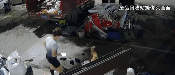 宠物猫被邻居高空扔下活活摔死，网友：何时能立法