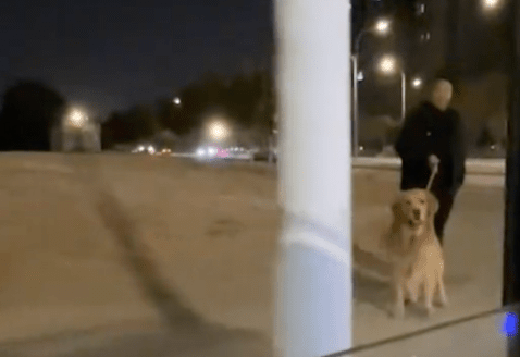 爸爸遛狗回来发现狗牵错了，找回狗时它非常生气：服了你个老六 