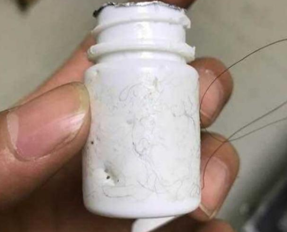 二哈意外死在家中，四周杂乱无章，得知食物原因令主人心痛