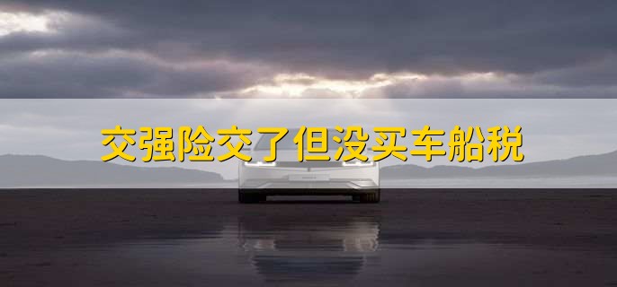 交强险交了但没买车船税，哪里缴纳