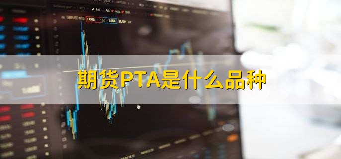 期货PTA是什么品种,恒指期货是啥
