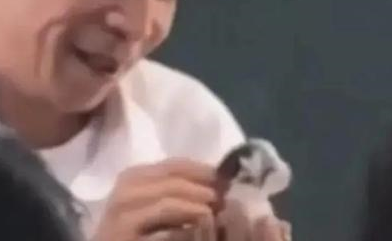 广东一老师路上捡到奶猫，进教室疯狂炫耀，网友：男人至死是少年