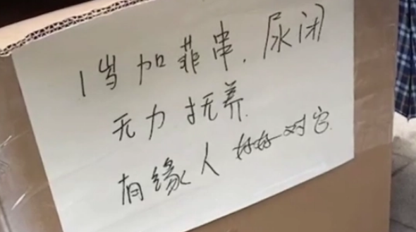 加菲猫被遗弃雨中，但看到主人留下的字条后，我释然了！