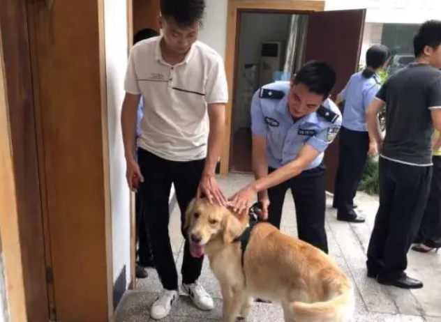 狗狗到警察局冒充“公务犬”，偷吃民警鸡腿，结果“大快人心”
