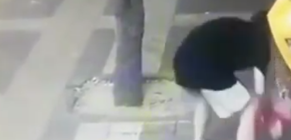 西安一男子用塑料袋藏榔头，砸晕路边小狗并带走，流浪猫全程目睹