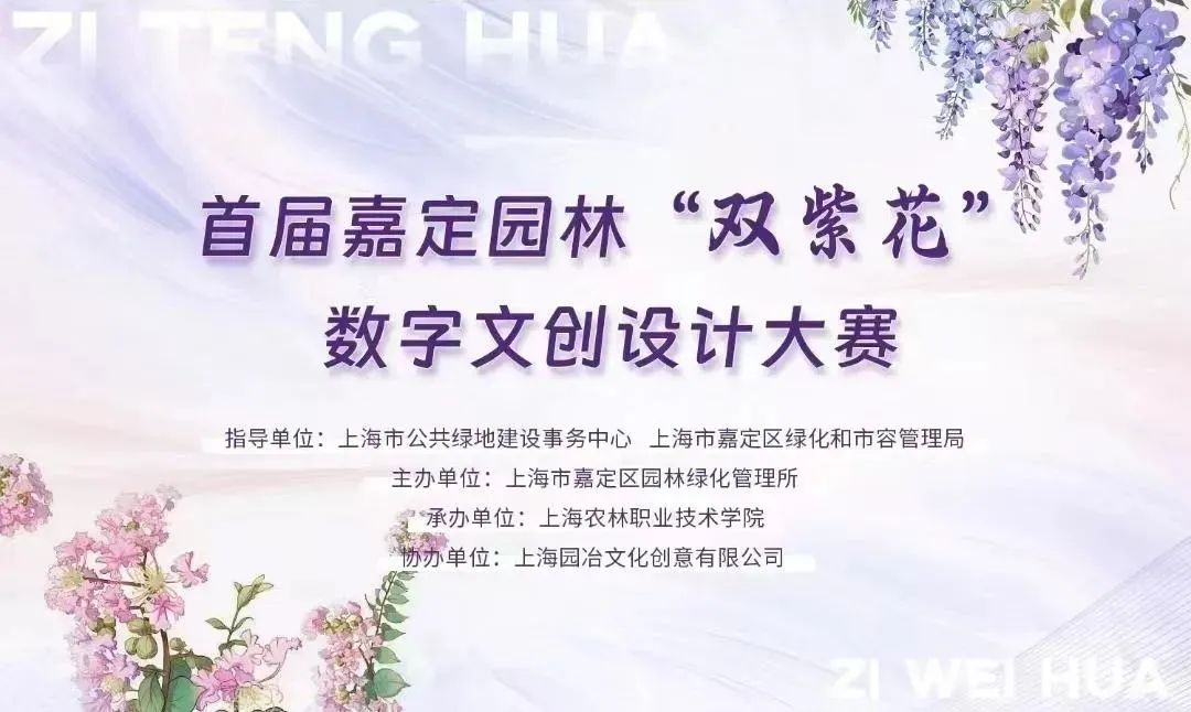 正文图片