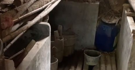 猫咪走丢3天，铲屎官嗓子都喊劈后接到电话：前几天找你买的旧沙发里有只猫...