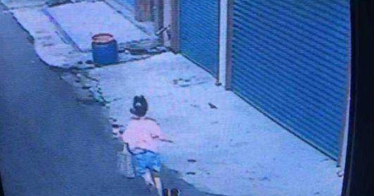  12岁女孩被土狗狂吠追90米，活活被吓死 ，狗主人赔180万