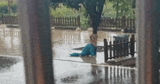 主人出门没带金毛，结果这货站在雨里赌气：淋死我算了！ 