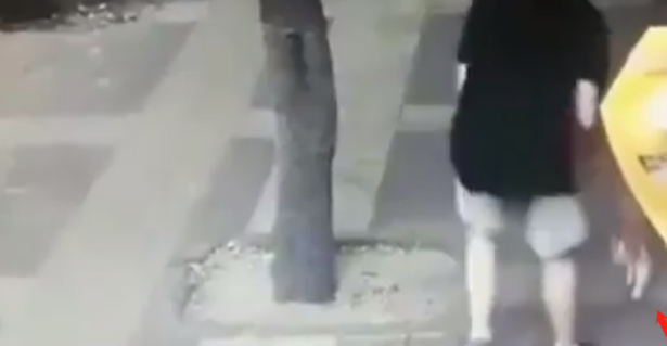 西安一男子用塑料袋藏榔头，砸晕路边小狗并带走，流浪猫全程目睹