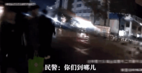 导盲犬带5个人吃火锅迷路了，被民警捡到，网友：它是导盲犬不是导航犬