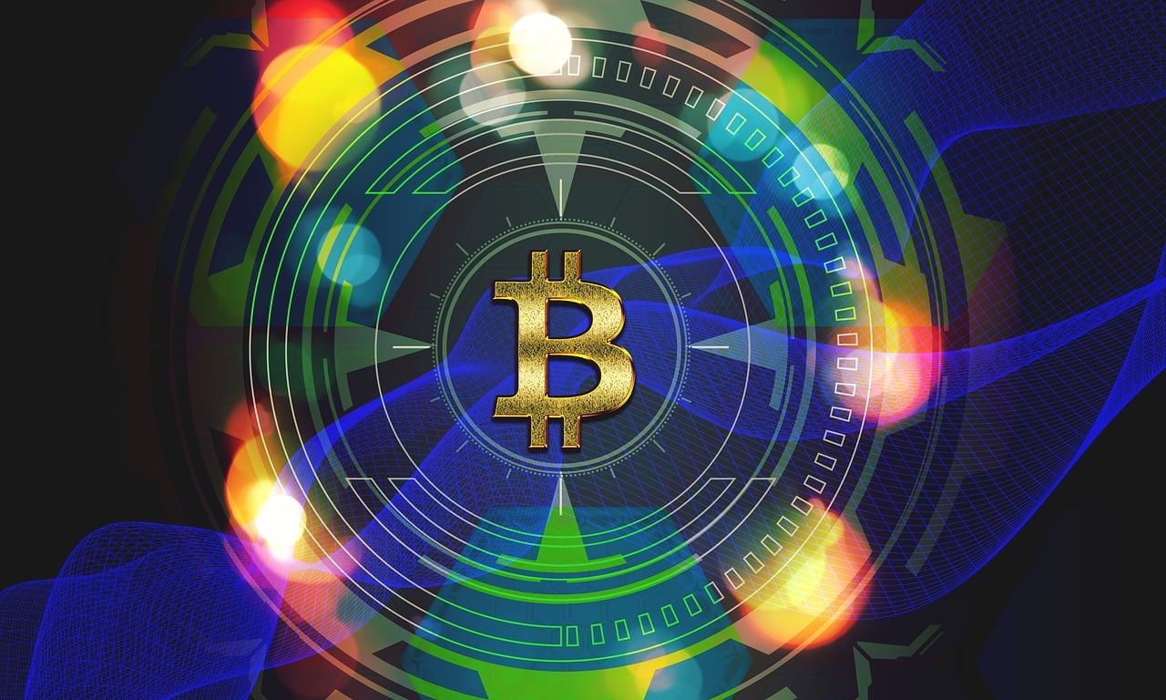 全红婵再现，奇迹背后的数字密码