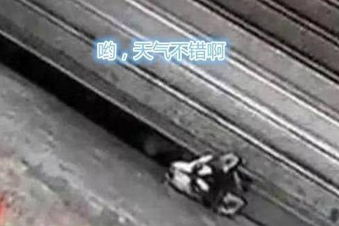 二哈头卡在卷闸门下，路人跑去营救，下一秒却被气疯了 