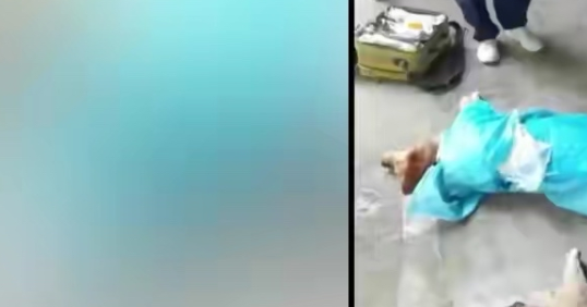 宠物狗被下药毒死，女主人抱狗崩溃痛哭，一检查小区8条狗被毒死
