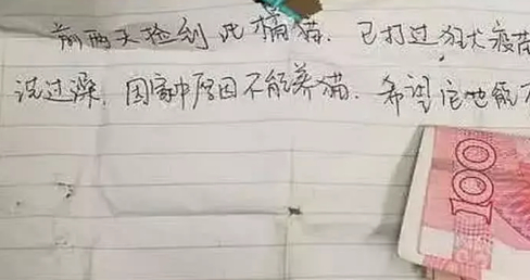 会以为这只橘猫被主人抛弃了，里面还有纸条，拿起来就泪崩了