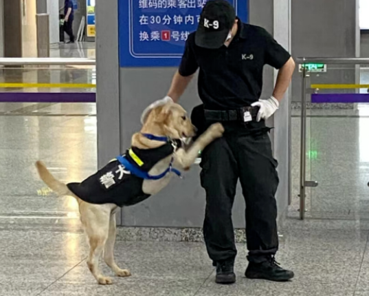 没想到哇，你竟是这样的警犬！