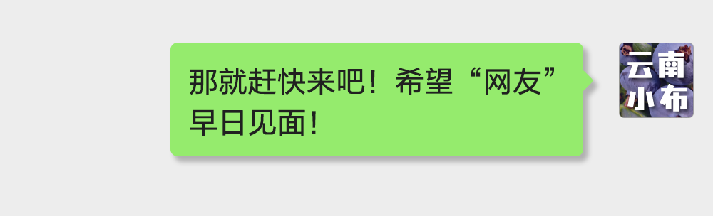 海味与果味，你更爱哪一味？