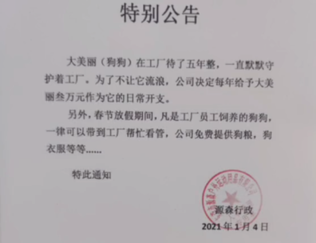 10岁土松犬当保安月薪3000，看门、捉老鼠还兼职模特。一看工资条…哈哈哈！