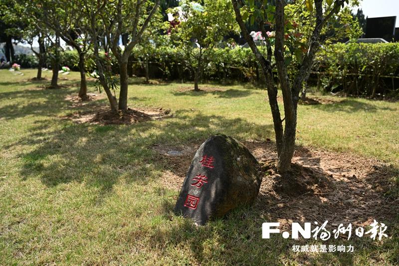【网络中国节·清明】福州各地掀起文明殡葬新风