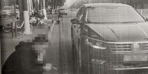 车狗相撞，狗胜，狗主人倒赔4800元，为什么