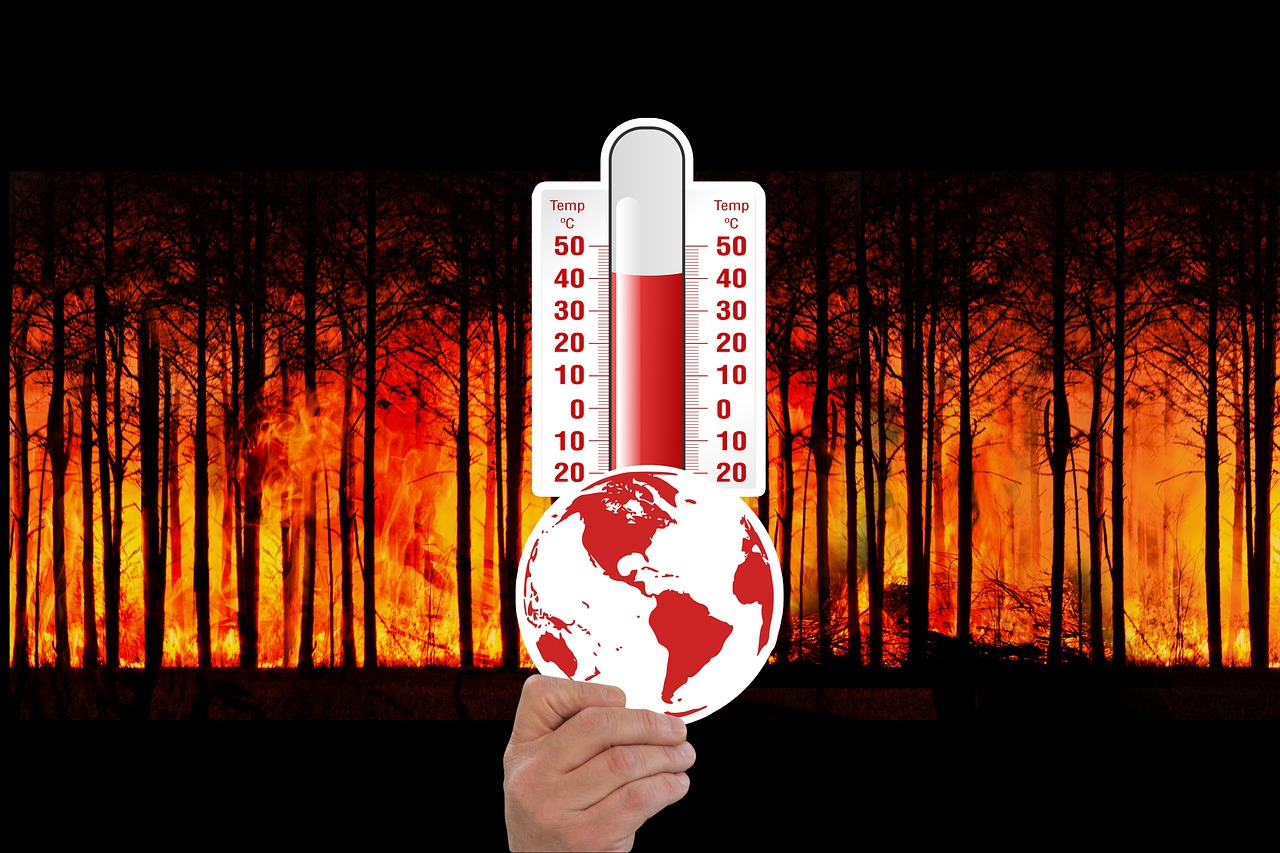 冷空气来袭，多地气温跌至冰点以下，如何应对寒冷天气？