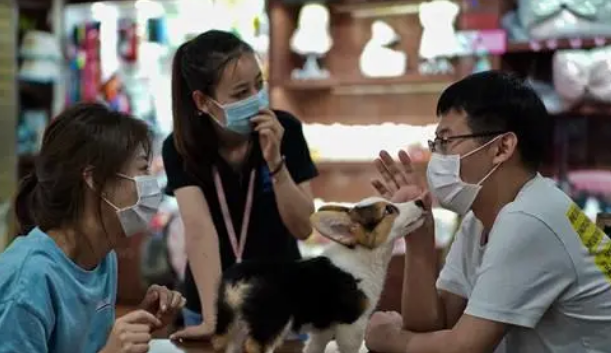 萌宠经济：年轻人花钱求“治愈”？