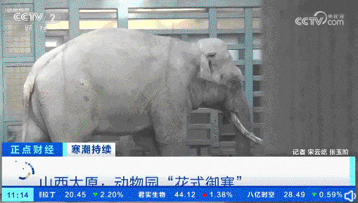 央视报道公园给流浪猫建御寒小屋，还提供水和粮，反被嘲：那被抓伤就起诉公园赔！