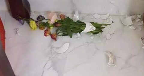下班回家发现花瓶碎了，主人气得把猫咪全都挂起来，画面高萌
